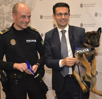 ©Ayto.Granada: El perro adoptado por la Polica Local pasa a fomar parte de la plantilla municipal como nuevo agente de seguidad 